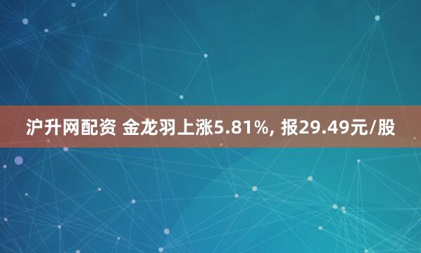 沪升网配资 金龙羽上涨5.81%, 报29.49元/股