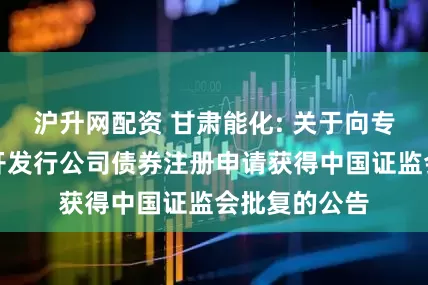 沪升网配资 甘肃能化: 关于向专业投资者公开发行公司债券注册申请获得中国证监会批复的公告