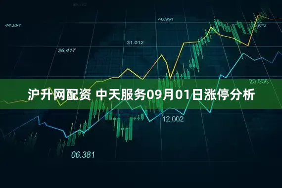 沪升网配资 中天服务09月01日涨停分析